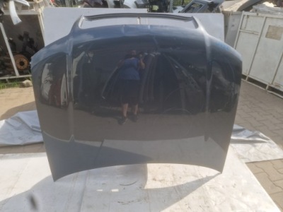 Audi a4 b6 капот крышка двигателя перед решётка радиатора решётка  2002 8e0010170f фото №1