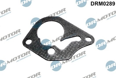 DR. MOTOR FORRO DE BOMBA RENAULT 1,9DCI 01-  