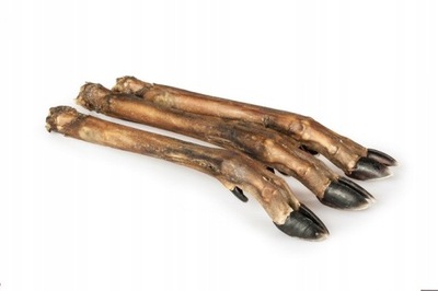 MS Noga, Racica Sarny naturalna 2sztuki