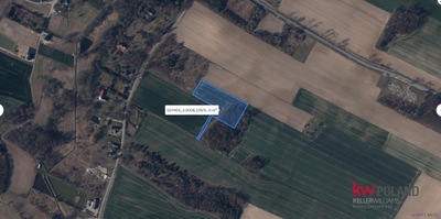 Działka, Łuczyna, 9990 m²
