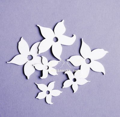 Z ŻONKILAMI - kwiaty