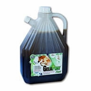 Orling GelaPony Fast Biosol 3 litry