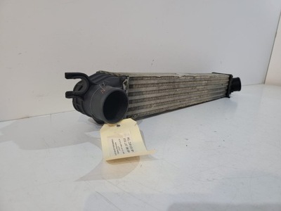 Mini інтеркулер 2751277-07 - 6154 фото №1