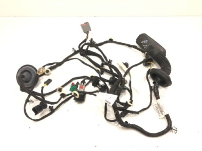 Джгут двері перед права 39133598 opel insignia b 17-22 фото №1