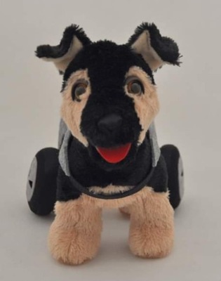 Niepełnosprawna Sindi - pluszowy psiak na wózeczku