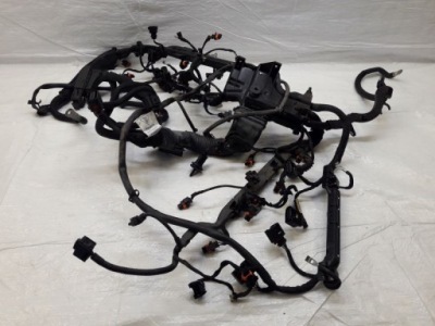 Porsche panamera 970 4.8 джгут двигуна електропроводка фото №1