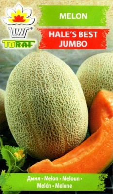 Melon HALE S BEST JUMBO nasiona 1g