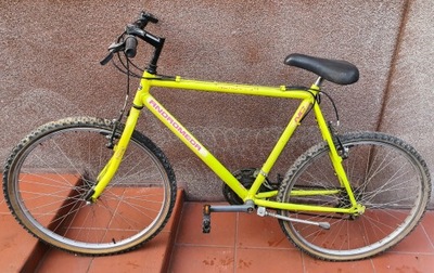 Stary rower ANDROMEDA retro