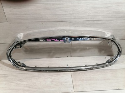 TESLA S CHROM GROTELĖS BUFERIS PRIEK. 1017414-00-D 