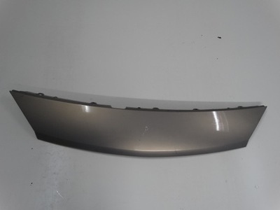 Захист перед renault scenic ii фото №1