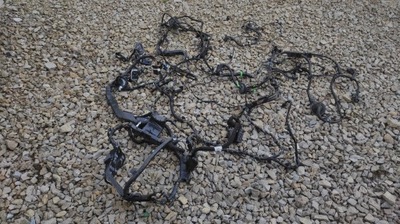 Джгут салону кузов ford fusion usa 2.0 ecoboost dg9t-14a005-aal фото №1