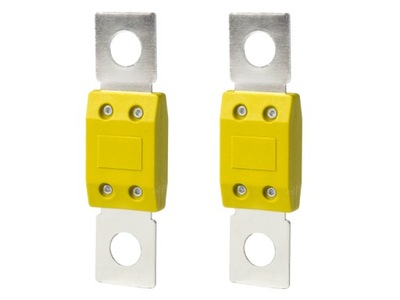 Запобіжник megaval 100a - 2 штуки фото №1