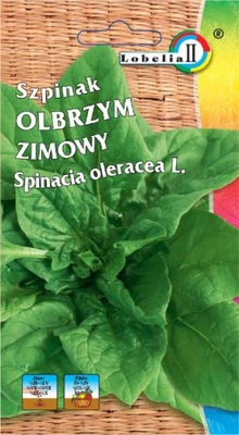 Szpinak Olbrzym Zimowy Zimujący 20g