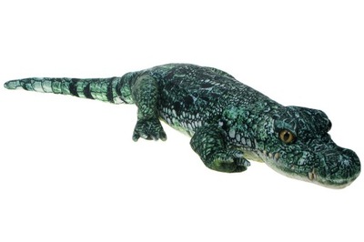 Barwne Zoo: Maskotka Krokodyl (Aligator) 95cm (93282)