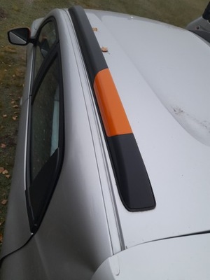 Dacia spring рейлінги фото №1