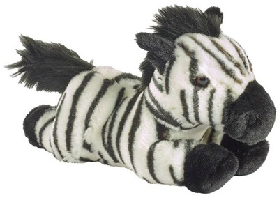 Zebra leżąca
