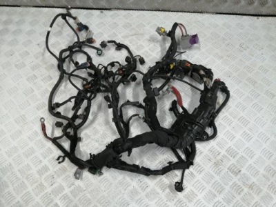 Электропроводка жгут двигателя dacia logan sandero ii lift 1.5blue dci 2020r фото №1