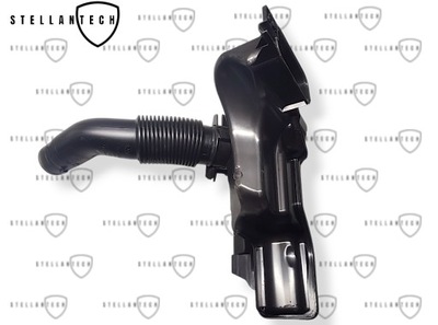 Маслоприймач резонатор повітря + трубка впуску оригінальний номер 9810920880 фото №1