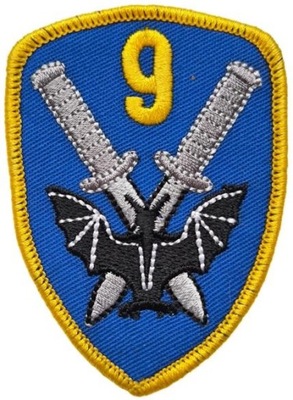 NASZYWKA 9 Warmiński Pułk Rozpoznawczy 9PR odznaka rozpoznawcza GALOWA