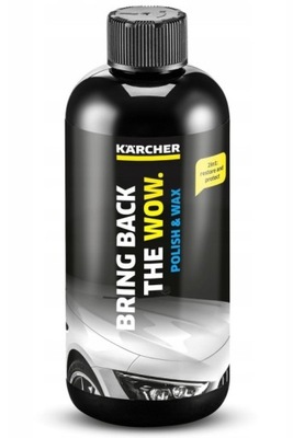 KARCHER RM 660 500 ML 2W1 WOSK : AUTOMOBILIO 