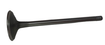 Amp paradowscy pope005 клапан всасывающий фото №1