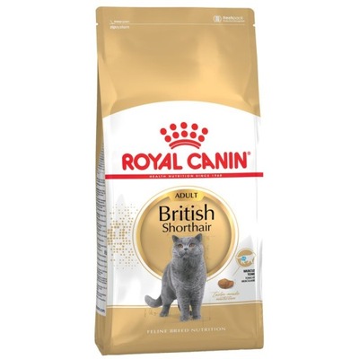 Sucha karma dla kota Royal Canin British Shorthair 4 kg