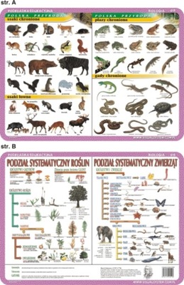 Podkładka edukacyjna Biologia