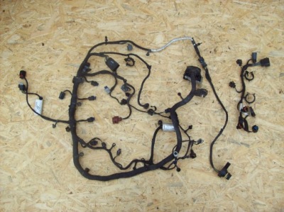 Ford mustang 2.3 ecoboost джгут двигуна фото №1