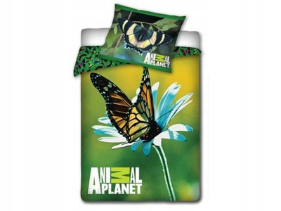 Pościel 160x200 Animal Planet motyl