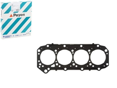 Прокладка головки rvi mascott maxity nissan cabstar interstar patrol фото №1