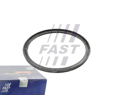 Fast ft49922 кільце ущільнювальний, elast. шланг pow. do турбіни фото №1