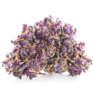 Susz konopny Purple Haze SUPER AMSTERDAM CBD 1000g