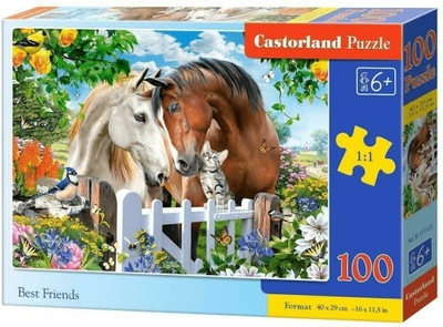 Puzzle 100 Best Friends CASTORLAND