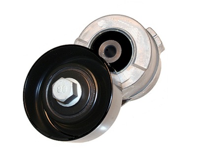 Schaeffler ina 534 0341 10 натяжитель ремень клиновой многоручейковый фото №1