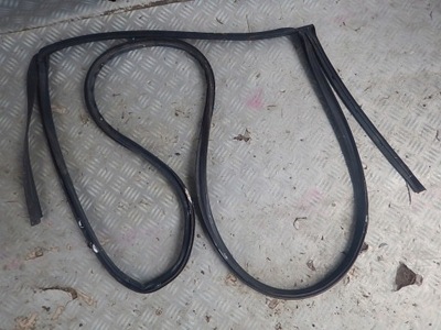 Nissan murano z50 ліва прокладка двері задня фото №1