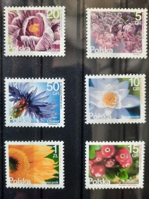 Kwiaty - Zestaw 6 znaczków