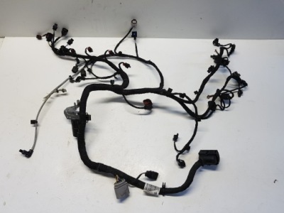 Seat tarraco джгут двигуна 05e972627l фото №1