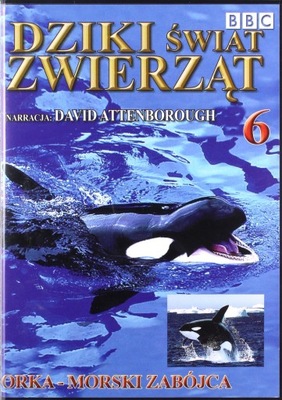 DZIKI ŚWIAT ZWIERZĄT 06: ORKA - MORSKI ZA