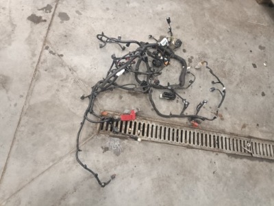 Ford escape mk4 1.5 ecoboost жгут двигателя фото №1