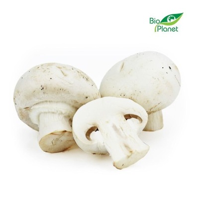 PIECZARKI BIAŁE ŚWIEŻE BIO (POLSKA) (około 0,25 kg) ŚWIEŻE