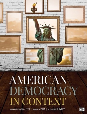 American Democracy in Context EBOOK