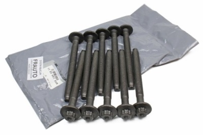 Болти головки renault 1.6 dci комплект . r9m фото №1