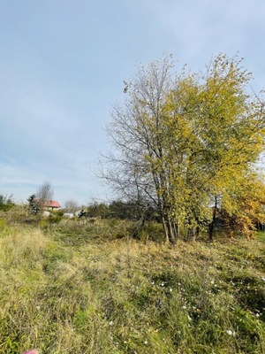 Działka, Czarna, Wołomin (gm.), 1210 m²