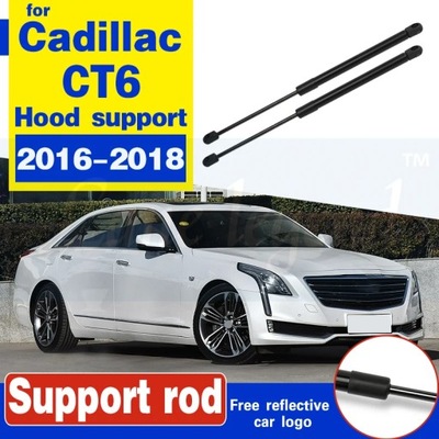 FOR CADILLAC CT6 2016-2018 2 PIECES CARS FRONT PROTECTION SILNIK~17461  