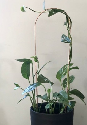 Podpórka podpora do roślin kwiatów metal 40 cm