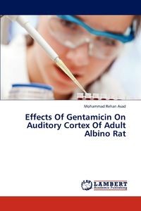 EFFECTS OF GENTAMICIN ON AUDITORY CORTEX OF ADUL..
