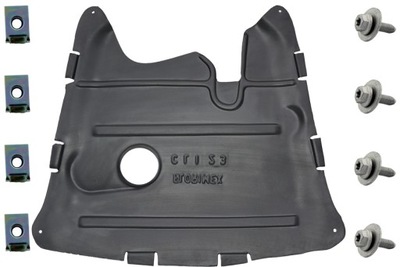 Renault clio ii kangoo 1998-12 захист двигуна spin фото №1