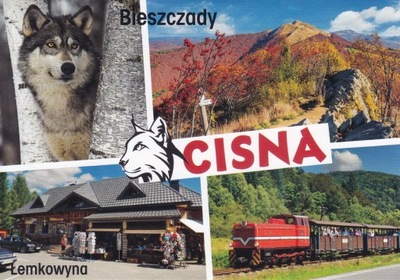 CISNA - WILK - ŁEMKOWYNA - KOLEJKA - BIESZCZADY