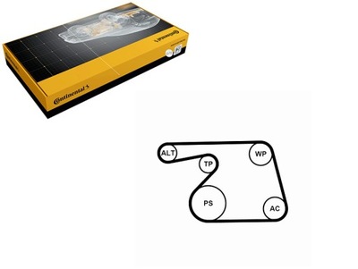 Набор ремни многоручейковых с ролики fiat punto punto evo opel фото №1