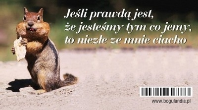 Magnes na lodówkę. Jeśli prawdą jest...